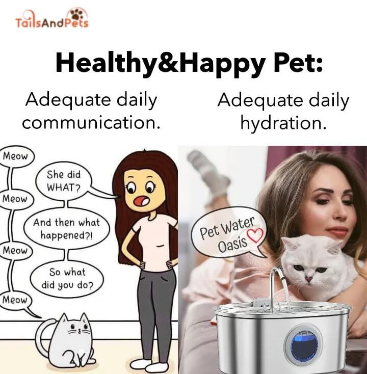 Meme about pet care with cartoon and woman with cat and water fountain.