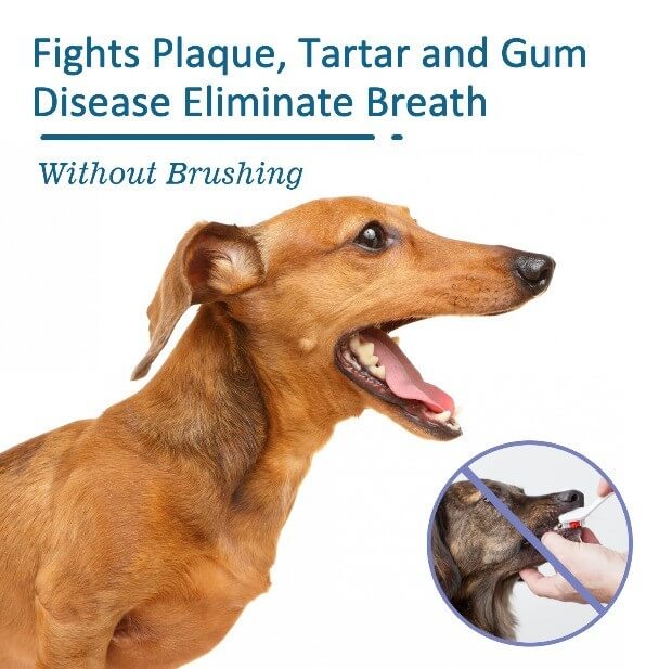 Oral Cleaning And Bad Breath Spray