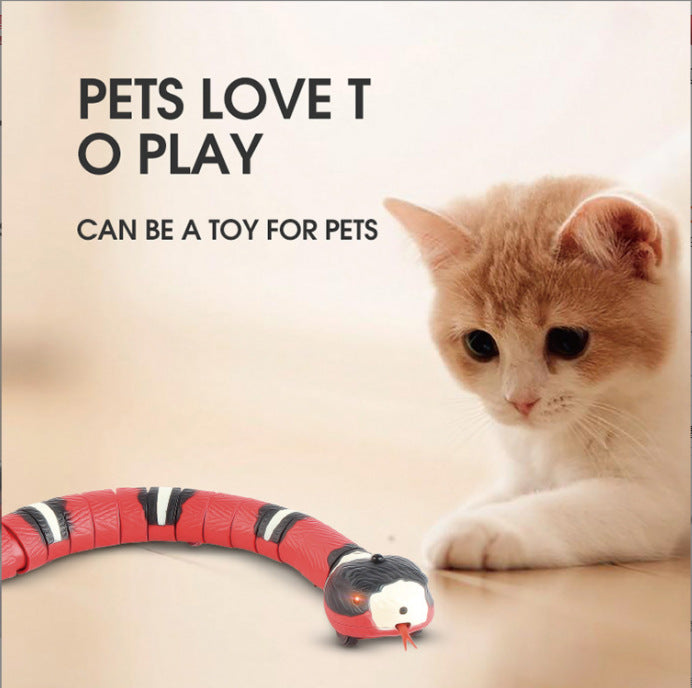 Smart Snake Cat Toy