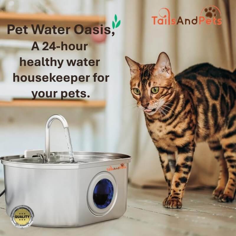 Cat standing next to a pet water fountain with promotional text and 'TailsAndPets' branding.