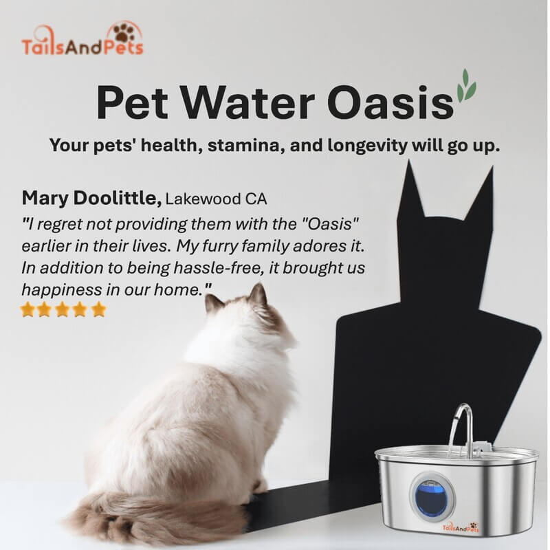 Advertisement for Pet Water Oasis with a cat and product silhouette on a light gray background