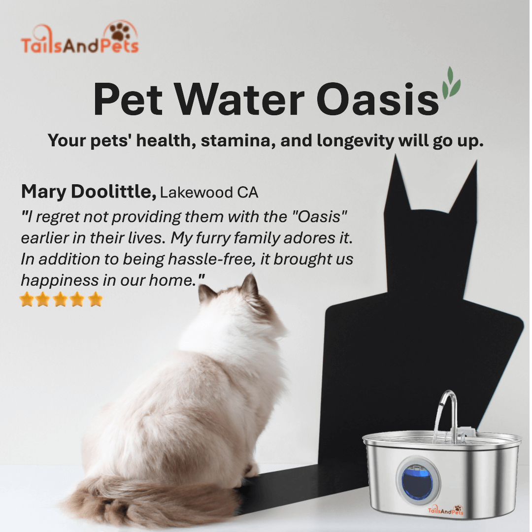 Pet Water Oasis