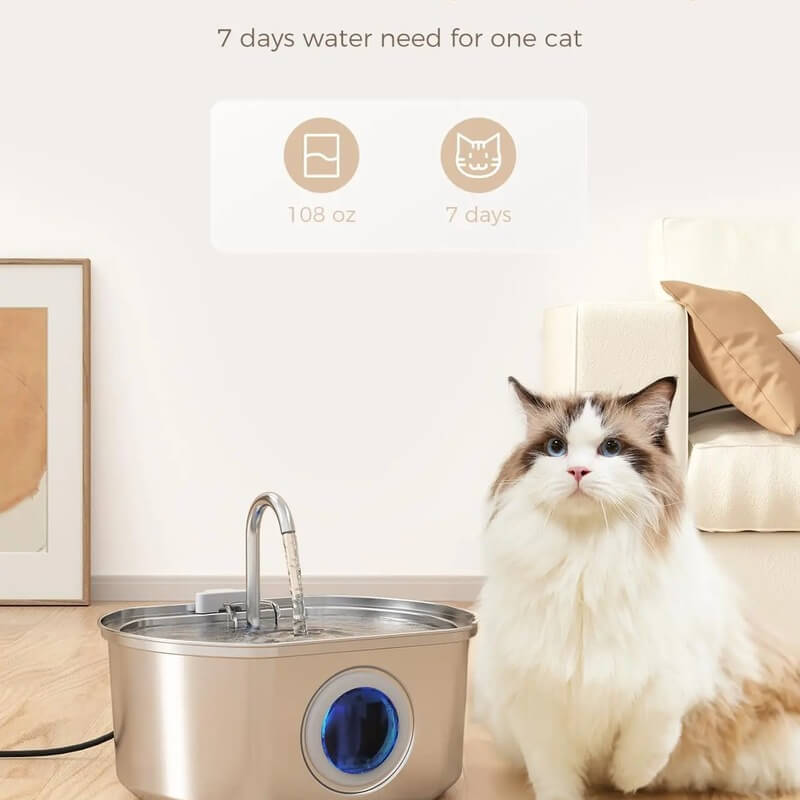Cat sitting next to a pet water fountain with text about water need for a cat.