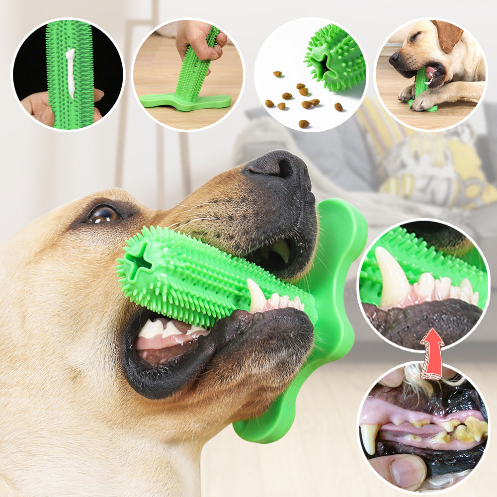 Dog Toothbrush Toy