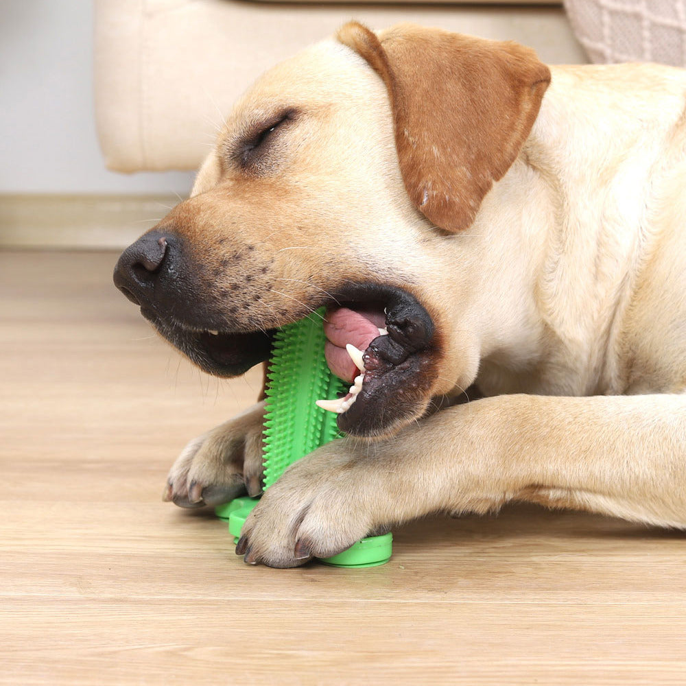 Dog Toothbrush  Toy