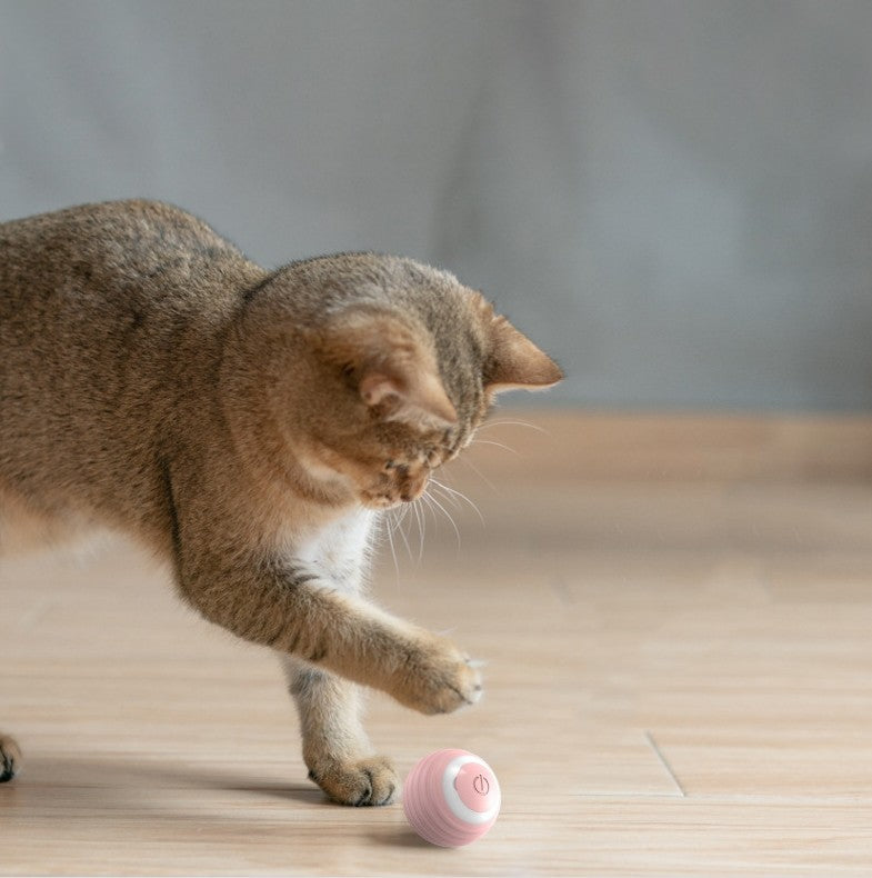 Pet Toy Ball Self-Moving