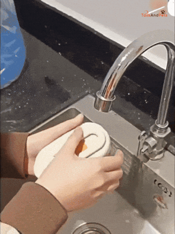 Pet Steam Brush