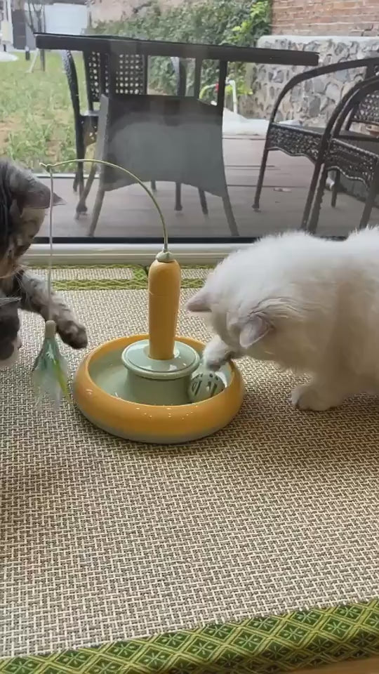 Cat Toy With Feather