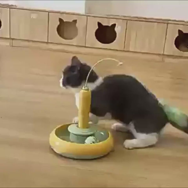 Cat Toy With Feather